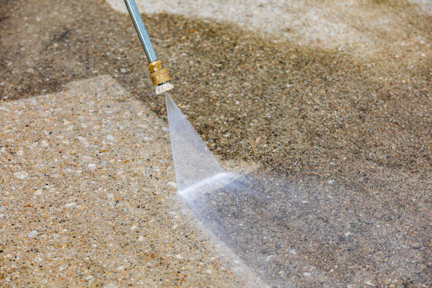 Professional Pressure Washing Services in Eatonville, WA